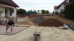 Termő